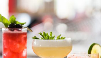 zomerse cocktail recepten